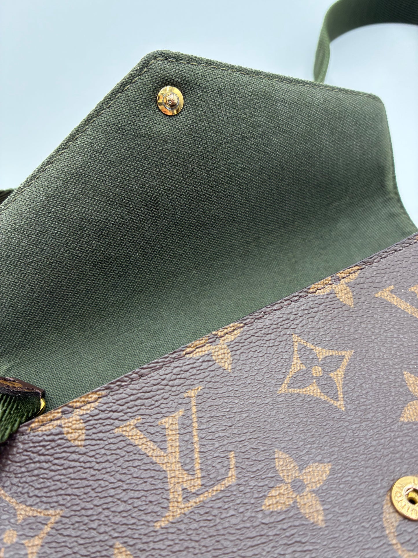 Louis Vuitton Monogram Felicie Strap & Go Crossbody bag, Green Strap