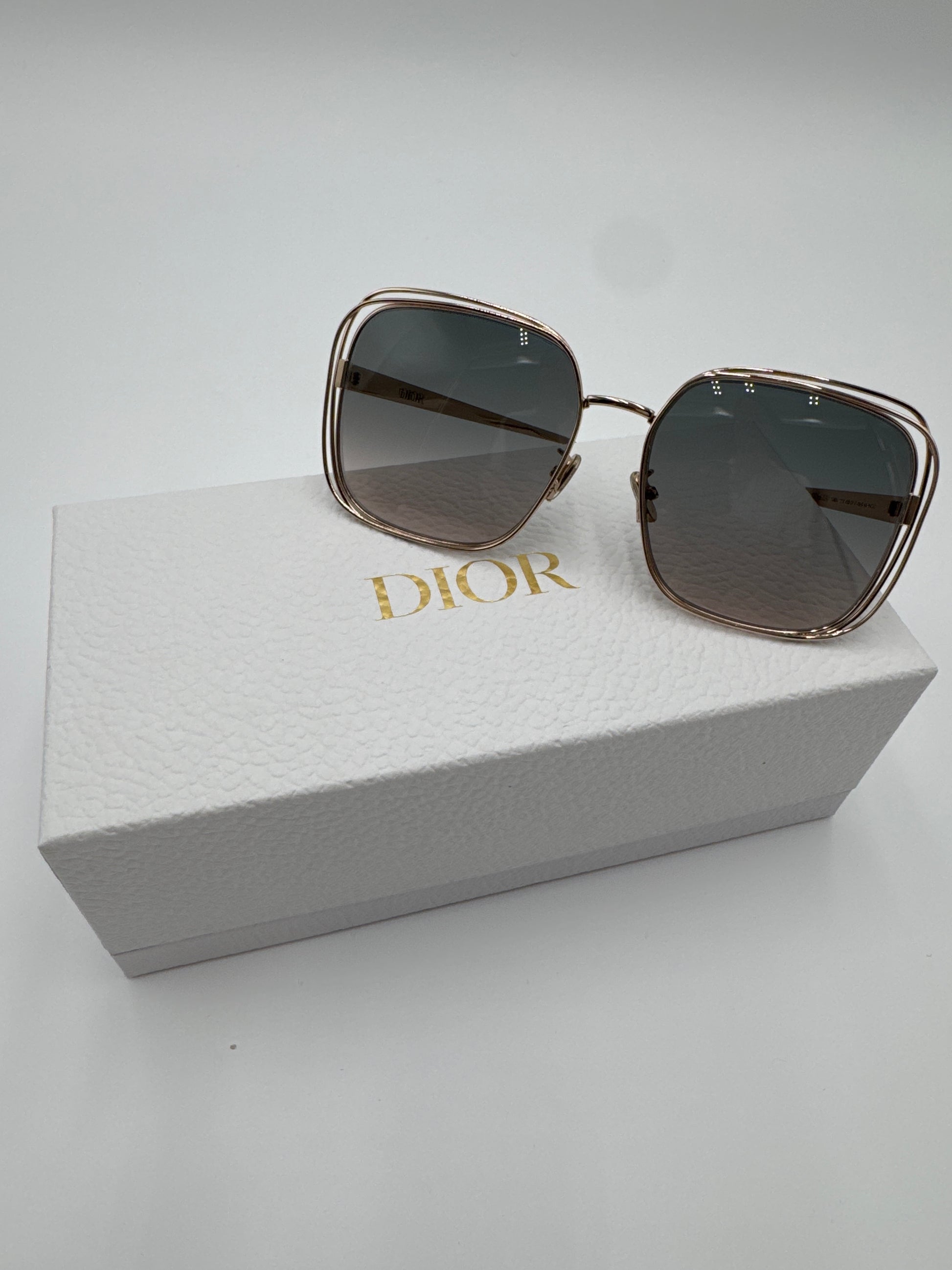 Dior FilDior S1U Sunglasses - Main Image